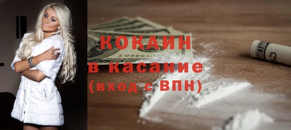 дмт Каменка