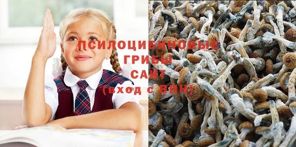 дмт Каменка