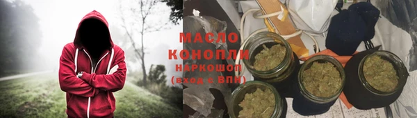 дмт Каменка