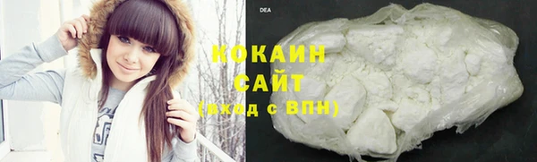 дмт Каменка