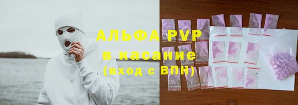 амф Каменногорск