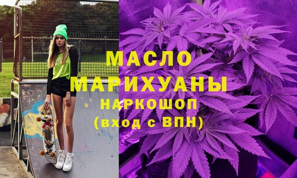 дмт Каменка