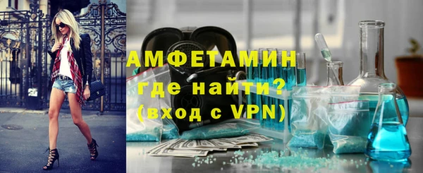 дмт Каменка
