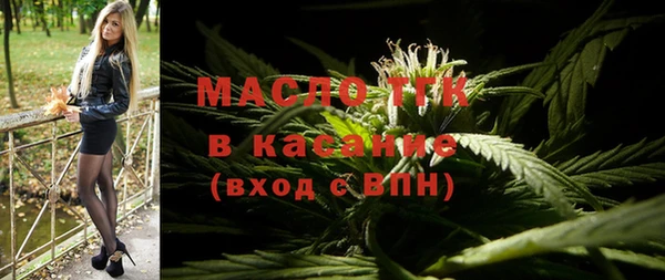 дмт Каменка