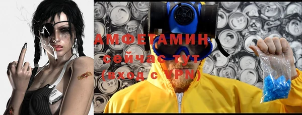 дмт Каменка