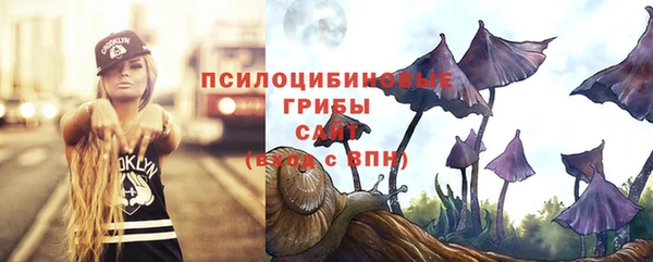 дмт Каменка