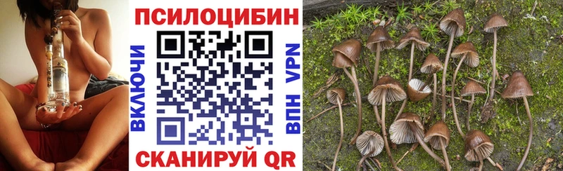 Купить  Дюртюли  Псилоцибиновые грибы Magic Shrooms 