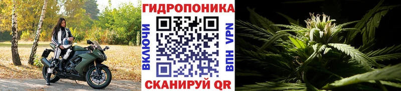 Каннабис сатива  Купить где  Дюртюли 